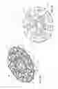 Fig. 21 - Continuously variable transmission
