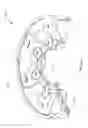 Fig. 22 - Continuously variable transmission