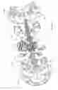 Fig. 35 - Continuously variable transmission