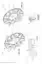 Fig. 41 - Continuously variable transmission