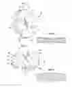 Fig. 05 - Multiple axis control suspension system and method