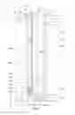 Fig. 03 - Cryogenic storage vessel