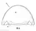 Fig. 07 - LED illumination assembly with collimating optic