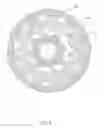 Fig. 05 - Tensile Resistant Light String