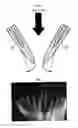 Fig. 04 - Energy saving combustion device for burning refractory hazardous gas and method for operating the same