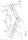 Fig. 06 - Refrigeration apparatus