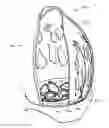 Fig. 01 - Cosmetic makeup sponge/blender container