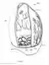 Fig. 06 - Cosmetic makeup sponge/blender container