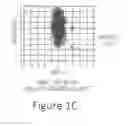 Fig. 04 - OPTICALLY TRACKED PROJECTILE
