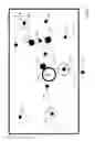Fig. 12 - Apparatus and method for showing map information in vehicle