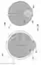 Fig. 08 - Optical detector and system therefor