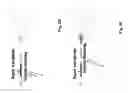 Fig. 15 - Curved grating spectrometer and wavelength multiplexer or demultiplexer with very high wavelength resolution