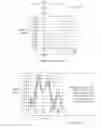 Fig. 06 - Distributed optical fibre sensor