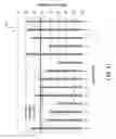 Fig. 24 - Non-destructive apparatus, system and method for determining pull-out capacity of anchor bolts