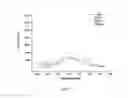 Fig. 03 - Luminescent Iridium(III) complex and its uses thereof for the G-quadruplex-based switch-on rapid detection of lead ions