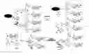 Fig. 06 - Electrochemical methods and compounds for the detection of enzymes