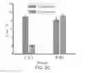 Fig. 08 - Electrochemical methods and compounds for the detection of enzymes