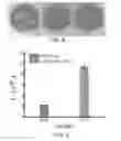 Fig. 10 - Electrochemical methods and compounds for the detection of enzymes