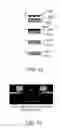 Fig. 93 - Chemically-sensitive field effect transistors, systems and methods for manufacturing and using the same