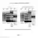 Fig. 16 - Electrophoresis separation method