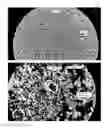 Fig. 06 - METHOD OF OBSERVING MICROORGANISM ACTIVITY IN A HUMAN TISSUE SAMPLE