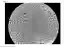 Fig. 12 - METHOD OF OBSERVING MICROORGANISM ACTIVITY IN A HUMAN TISSUE SAMPLE