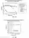 Fig. 03 - METHODS FOR DETERMINING THE EFFECTS OF COMPOUNDS ON JAK/STAT ACTIVITY