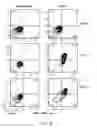 Fig. 10 - METHODS FOR DETERMINING THE EFFECTS OF COMPOUNDS ON JAK/STAT ACTIVITY