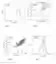 Fig. 05 - Motility-Contrast Imaging for Oocyte and Embryo Viability Assessment