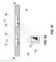 Fig. 14 - Automated driving of an assay