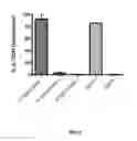 Fig. 10 - Method for identifying and obtaining activated T-cells that have a demethylated Foxp3 TSDR region
