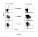 Fig. 11 - Method for identifying and obtaining activated T-cells that have a demethylated Foxp3 TSDR region