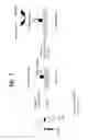 Fig. 03 - Rare molecule detection