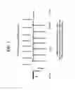 Fig. 08 - Rare molecule detection