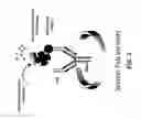 Fig. 06 - Antibody-based affinity reagents for binding paclitaxel