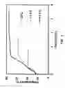 Fig. 04 - Variable Temperature Scanning Tunneling Microscope