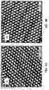 Fig. 09 - Variable Temperature Scanning Tunneling Microscope