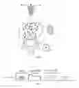 Fig. 03 - Ultrahigh resolution magnetic resonance imaging method and apparatus