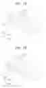Fig. 06 - Display apparatus