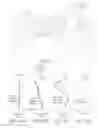 Fig. 08 - Optical imaging lens and electronic device comprising the same