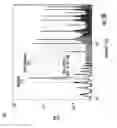 Fig. 06 - Suppression of undesired harmonics in MEMS mirror projector display