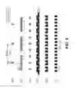 Fig. 03 - Ebeam universal cutter