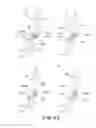 Fig. 24 - Electrophotographic image forming apparatus, developing apparatus, and coupling member