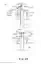 Fig. 44 - Electrophotographic image forming apparatus, developing apparatus, and coupling member