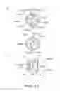 Fig. 50 - Electrophotographic image forming apparatus, developing apparatus, and coupling member