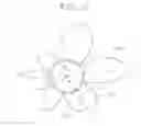 Fig. 04 - Developing device
