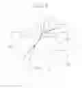 Fig. 07 - Transfer device and image forming apparatus