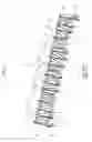 Fig. 07 - Image forming apparatus including main ribs respectively corresponding to sheets of plural sizes and sub-rib lower than main rib