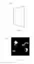 Fig. 14 - Holographic light field imaging device and method of using the same