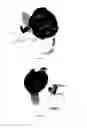 Fig. 03 - Magic gluco-wrist watch (MGW)